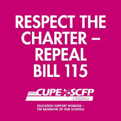 Respect The Charter Image - English