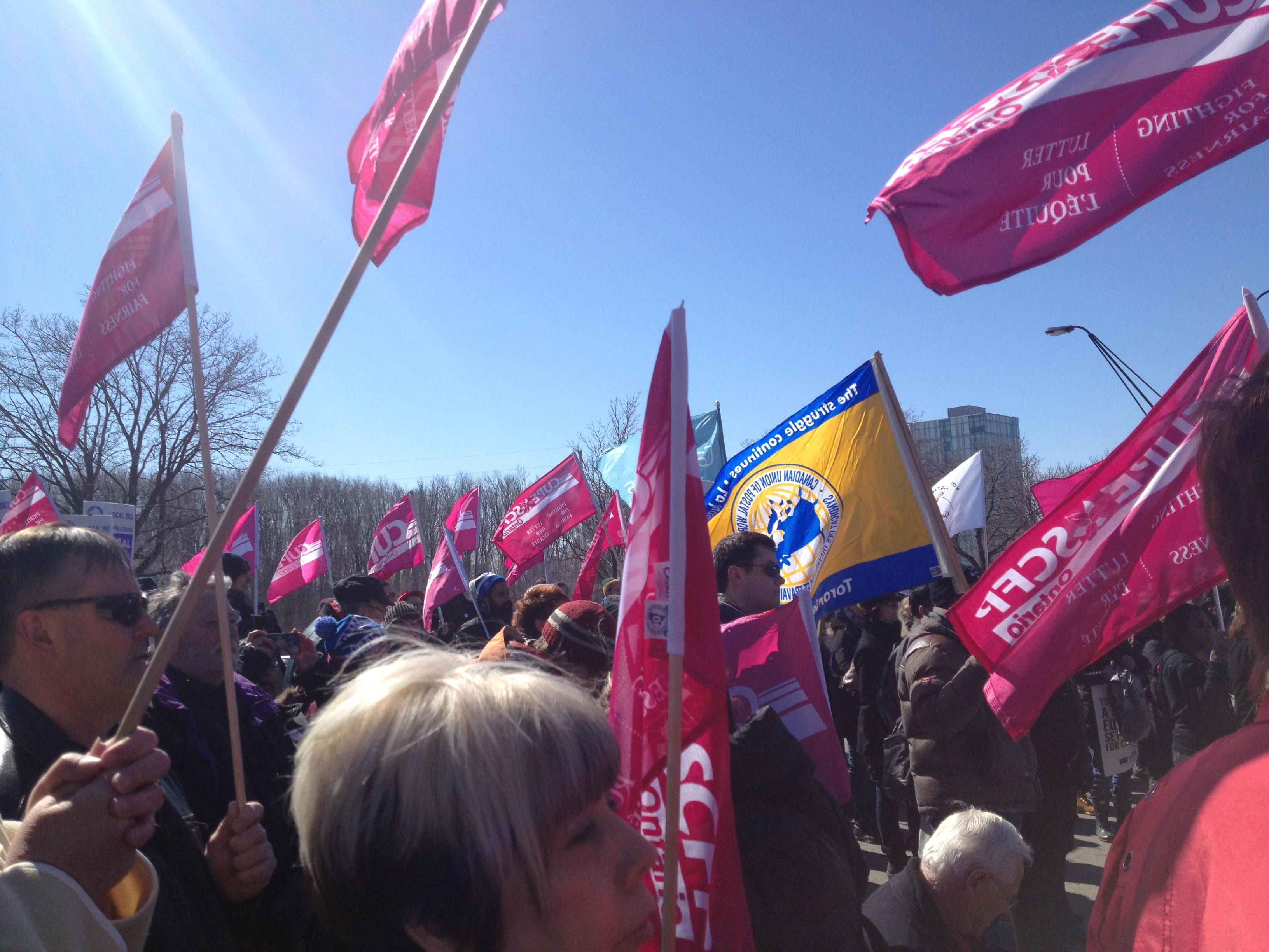 Dozens of people and CUPE Ontario flags at a CUPE 3903 Rally