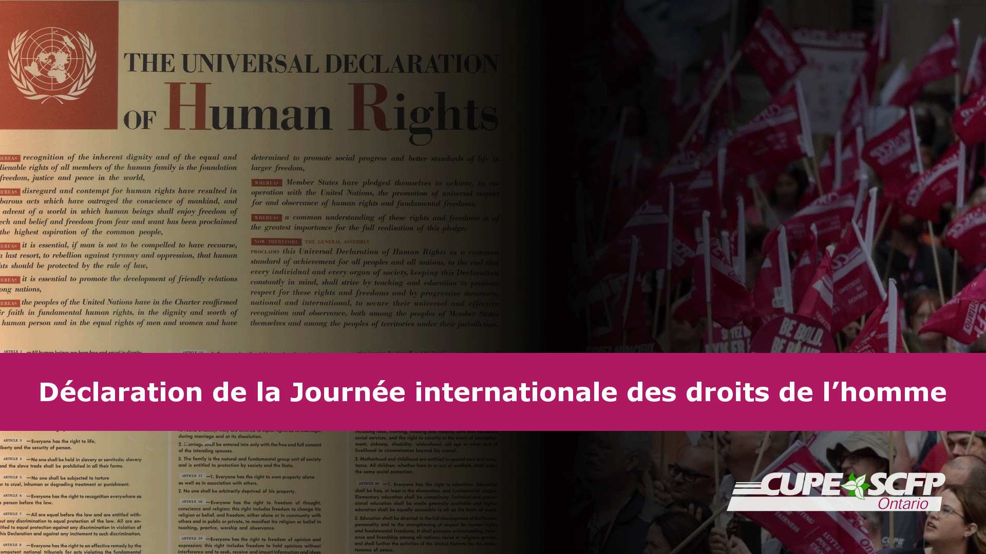 Charte Internationale Des Droits De L Homme