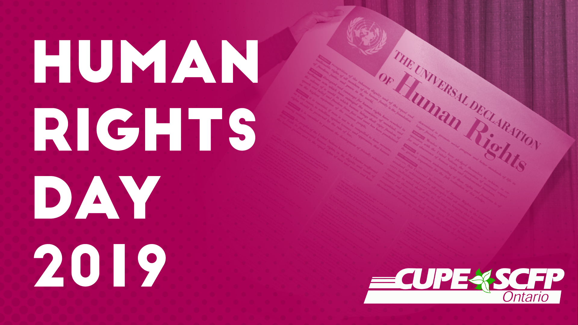 humanrightsday2019